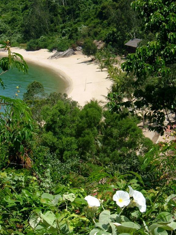 Eden Homestay Hoi An Eksteriør bilde